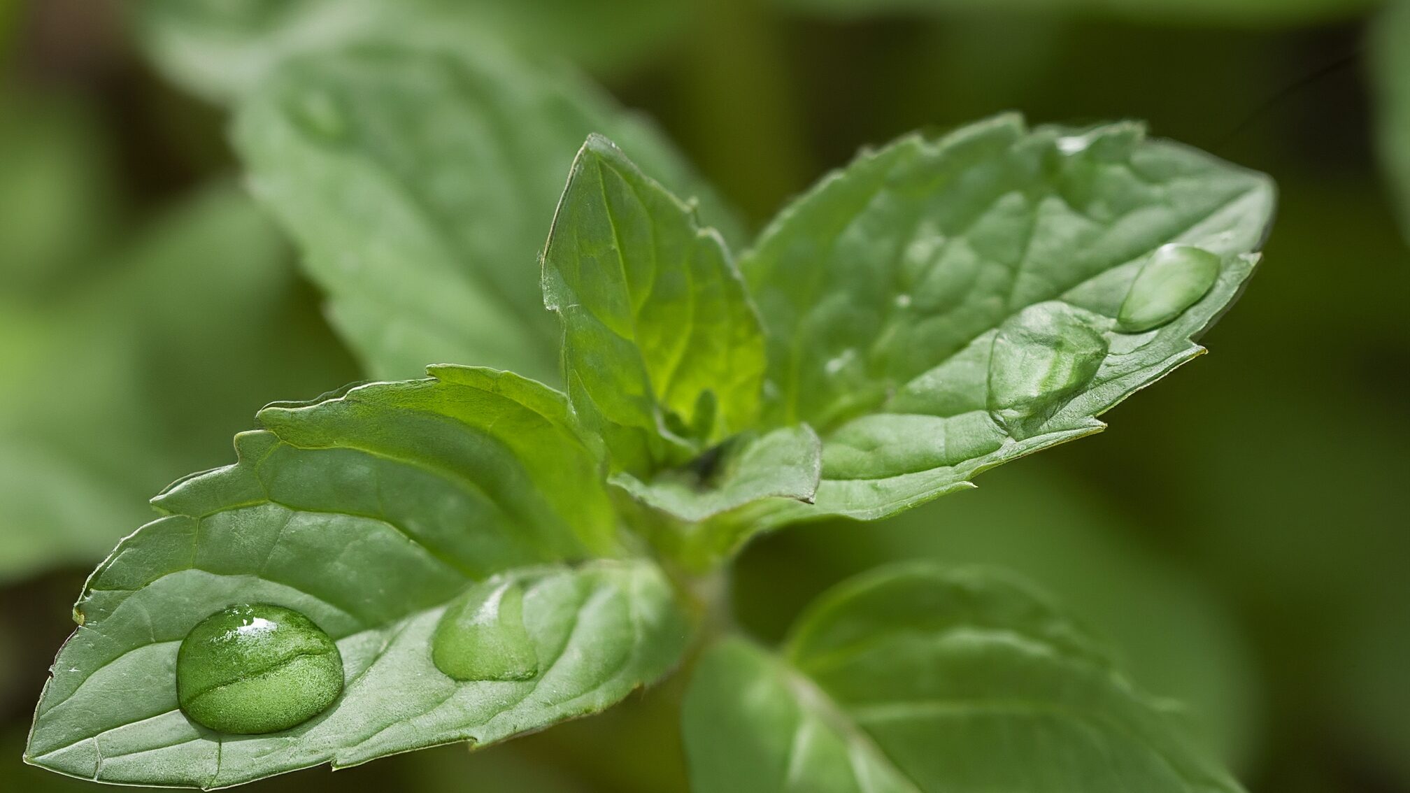 「痛い」「かゆい」と言われる技術的要因と解決策