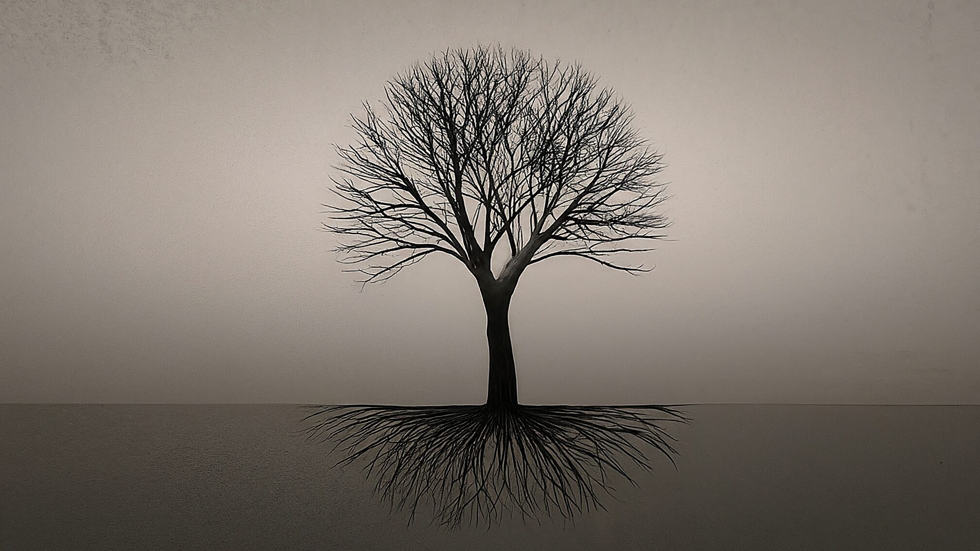 根本的な原因と5つの発生パターン