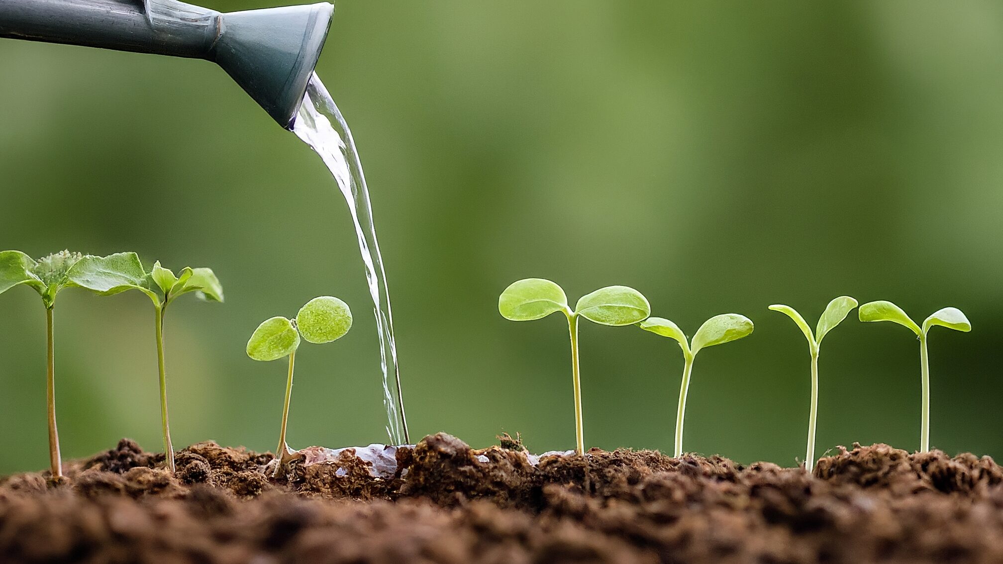 属人化からの脱却！スタッフ教育と苦手意識克服の考え方