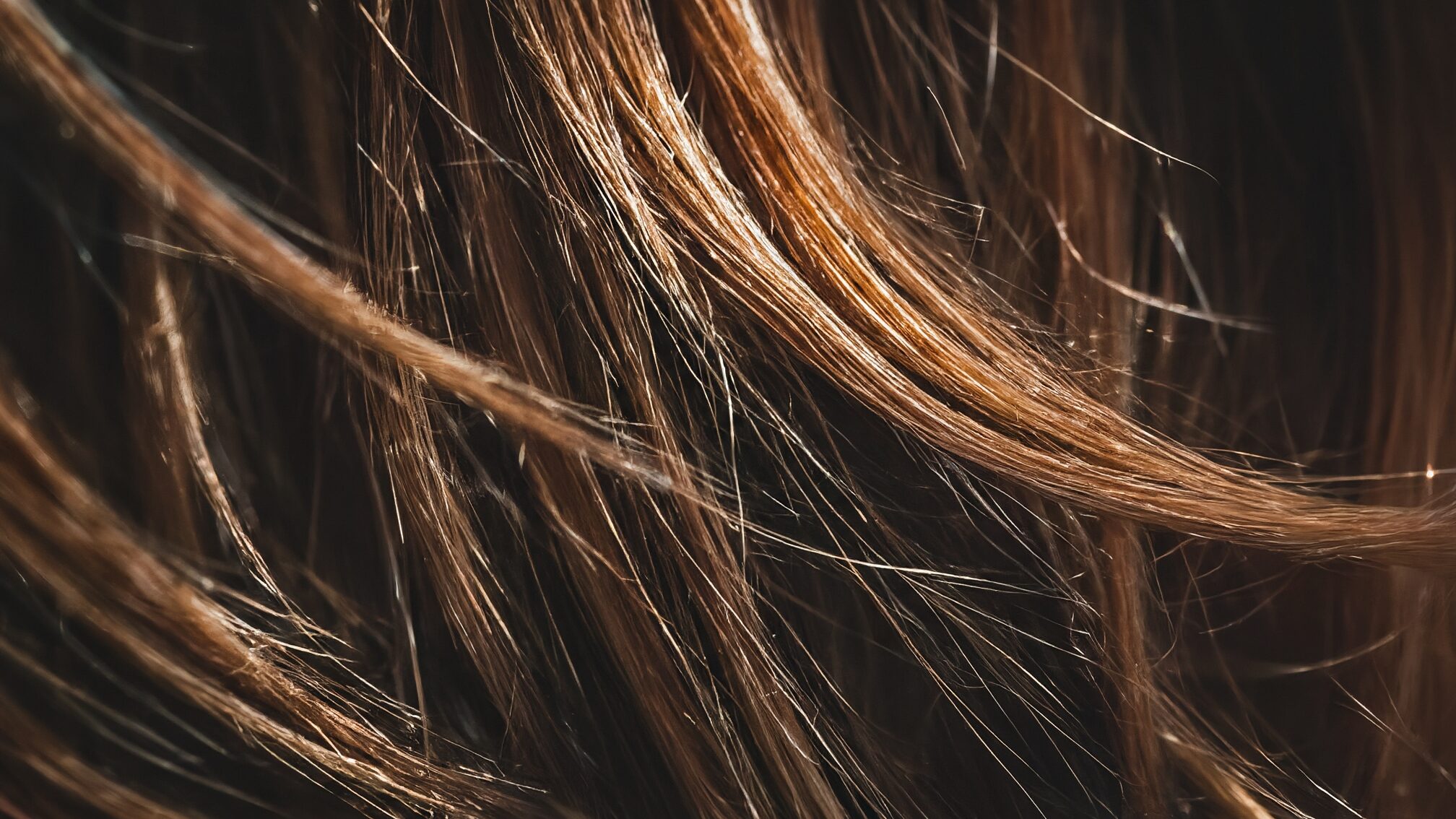 髪がきしむ原因とプロの対処法