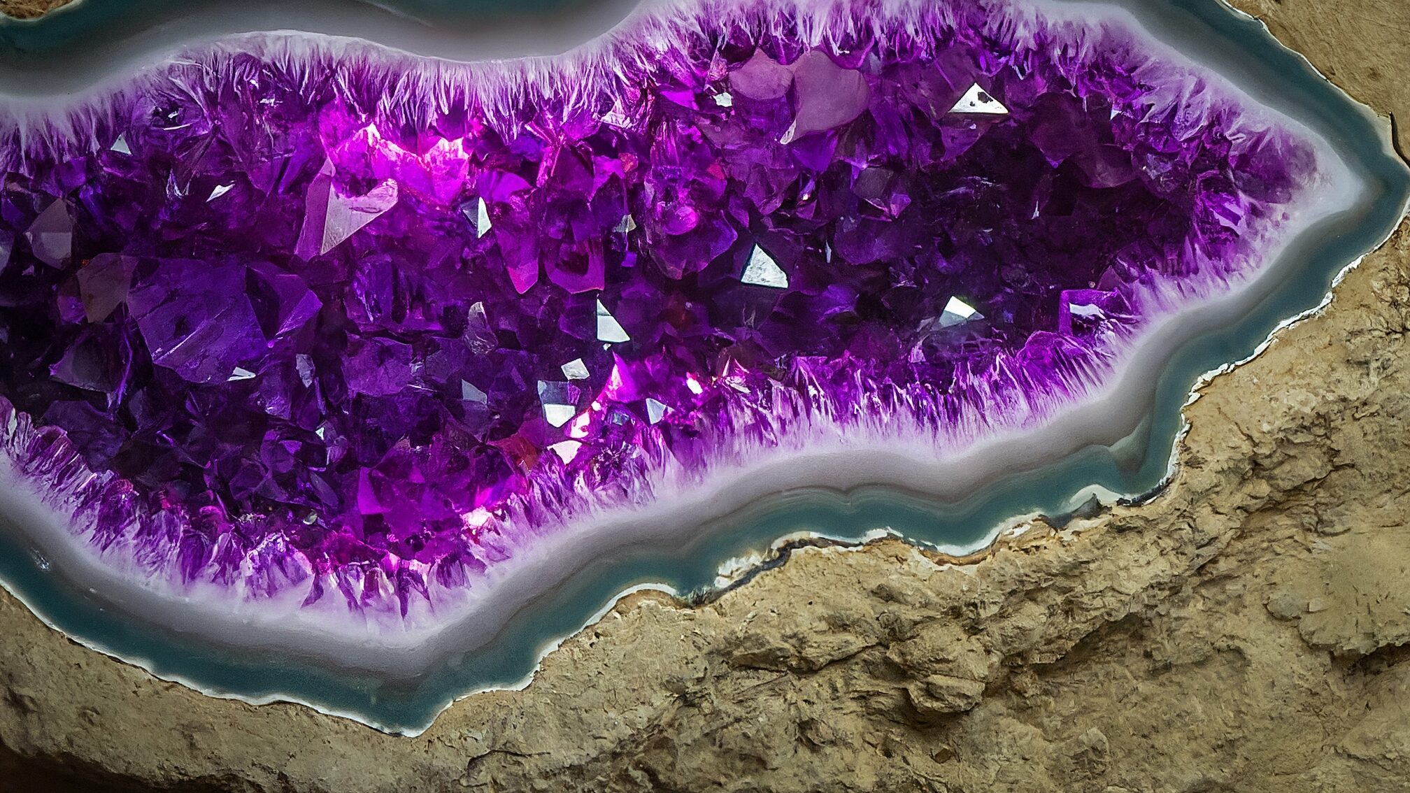 潜在ニーズの掘り起こしからの提案力とクロージング