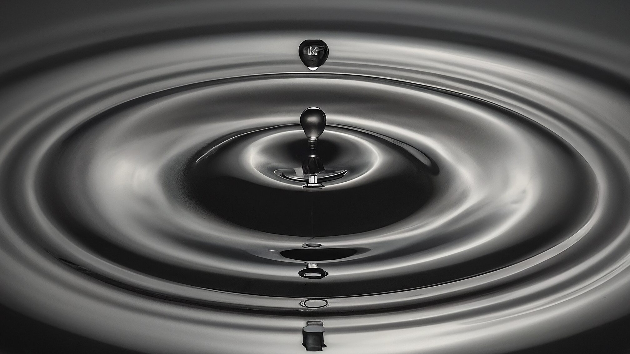 リピート率を上げるシャンプー術の本質とは