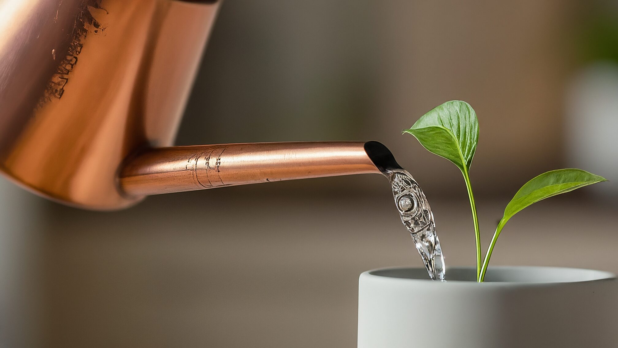 リピート率を高める秘訣は接客術・カウンセリング強化