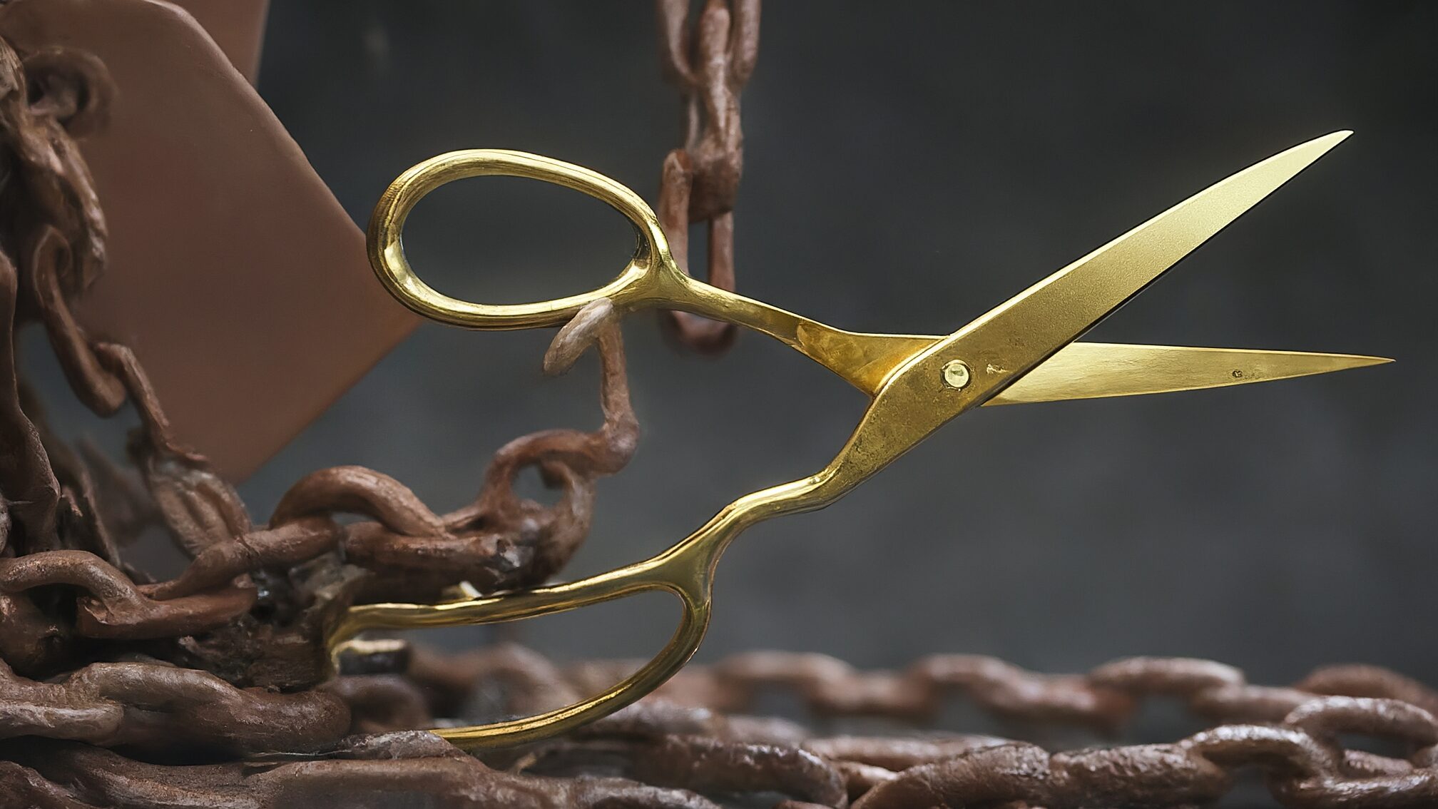 組合料金の限界と価格競争から抜け出す方法