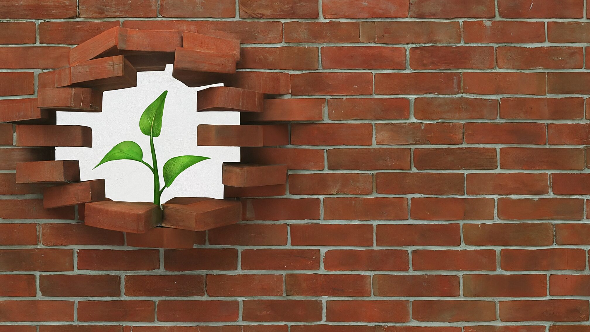 収入の壁を突破する 年収アップの具体策