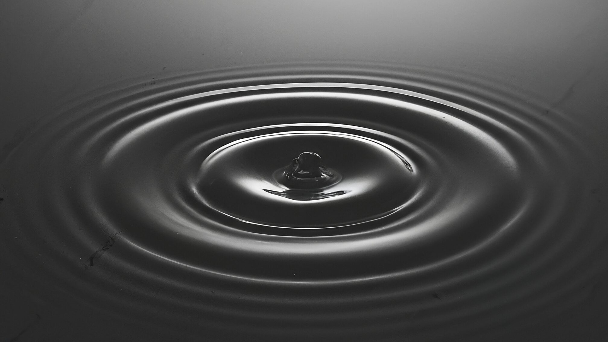 ファンがつく リピートされるコンセプト設計