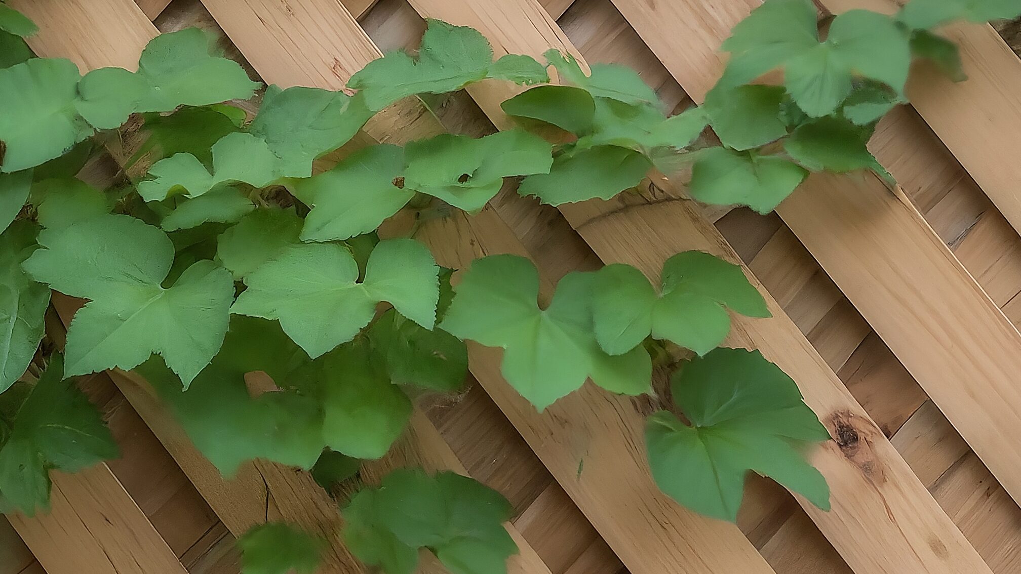 店長の役割と部下育成マネジメントのコツ