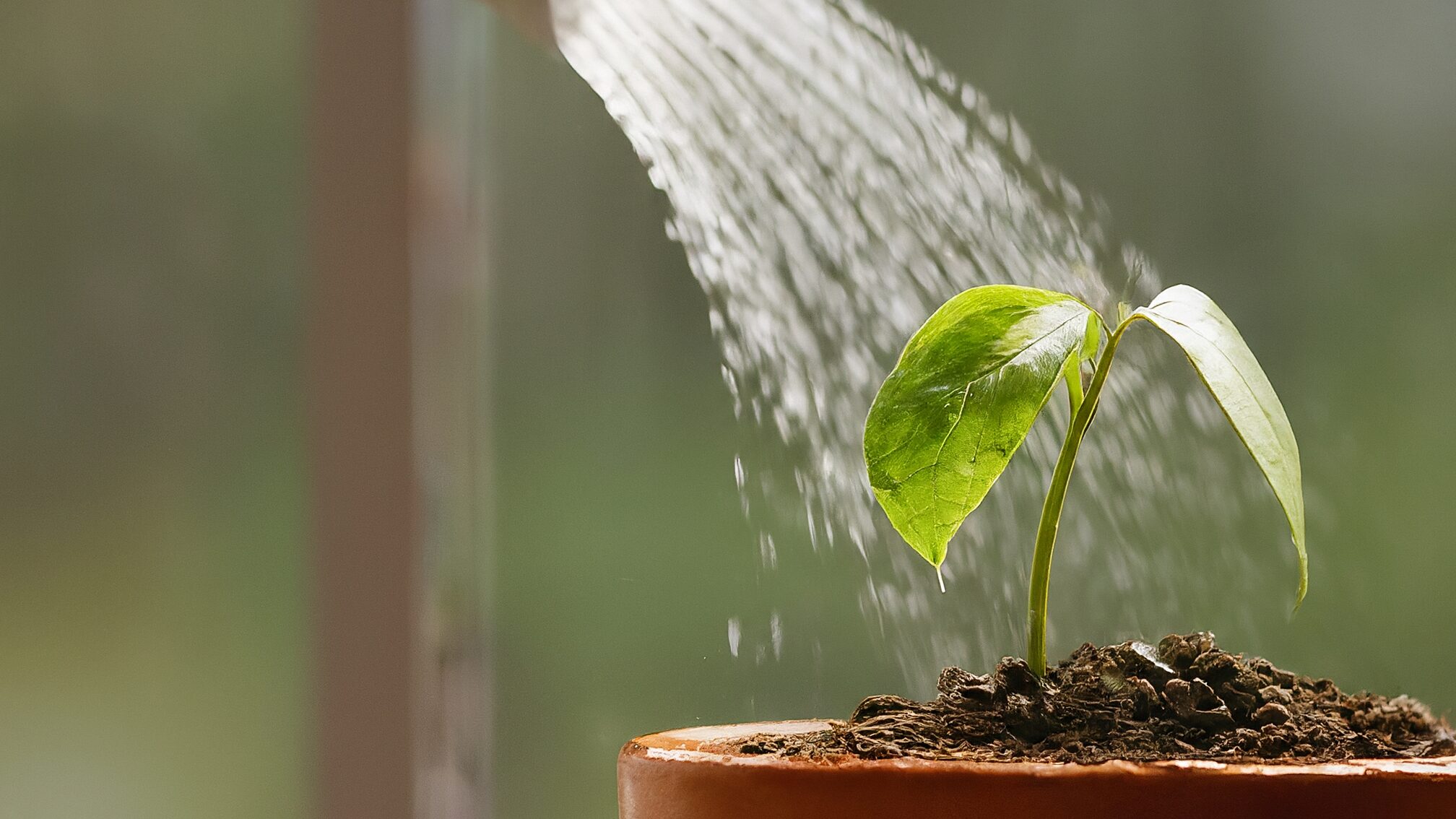 モチベーションを引き出す効果的なフィードバックと1on1