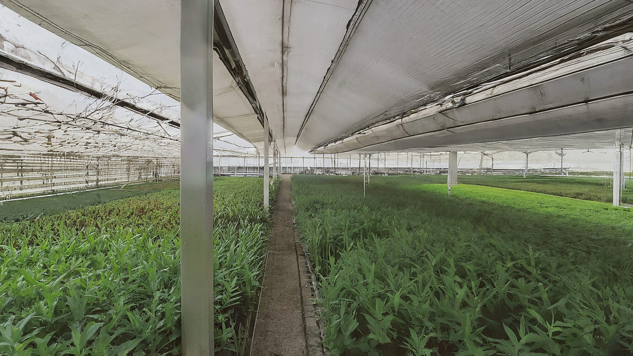 育成コストは投資。離職率を下げる環境づくりとは