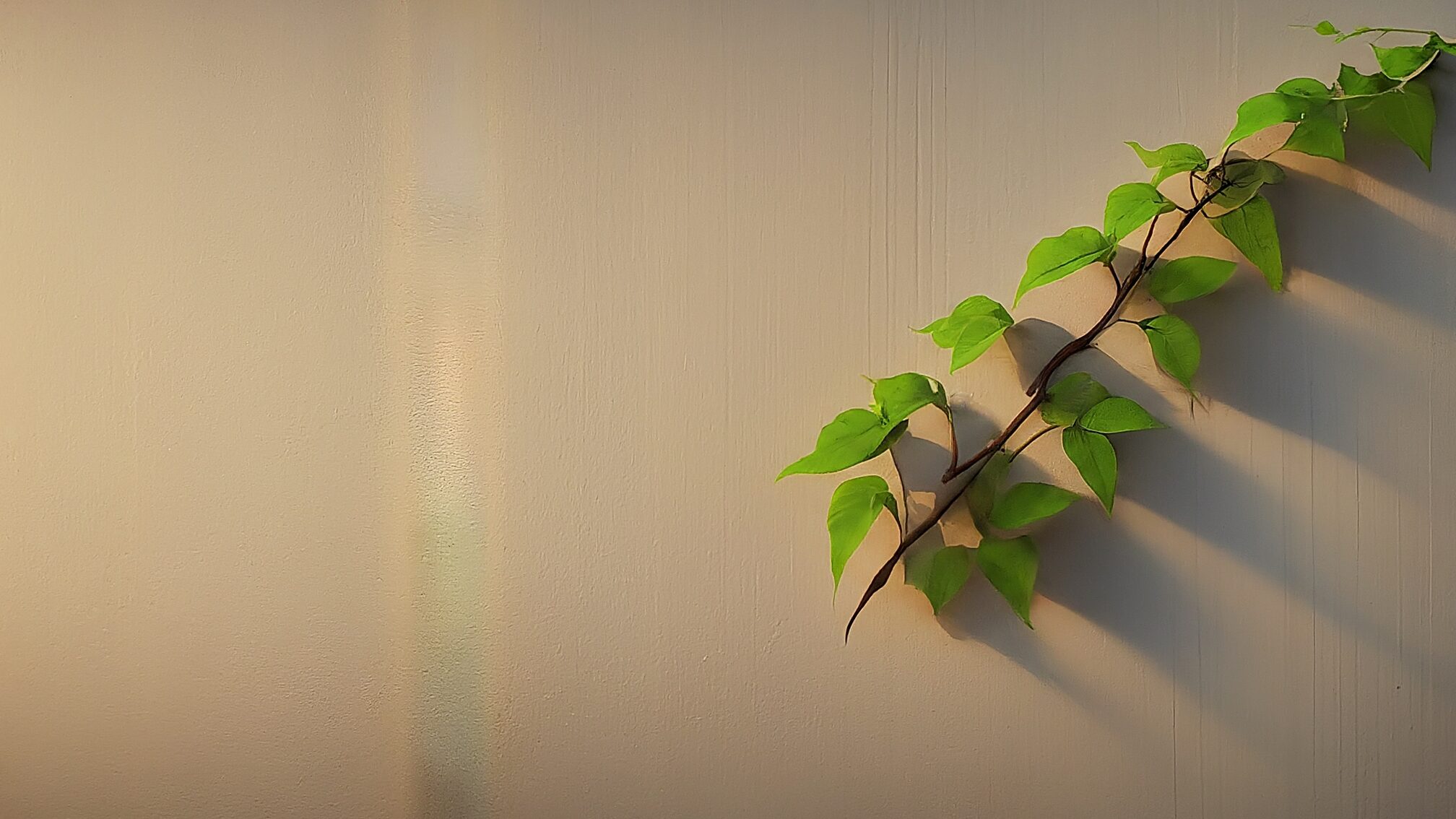 圧倒的に成長する人の学習習慣とは