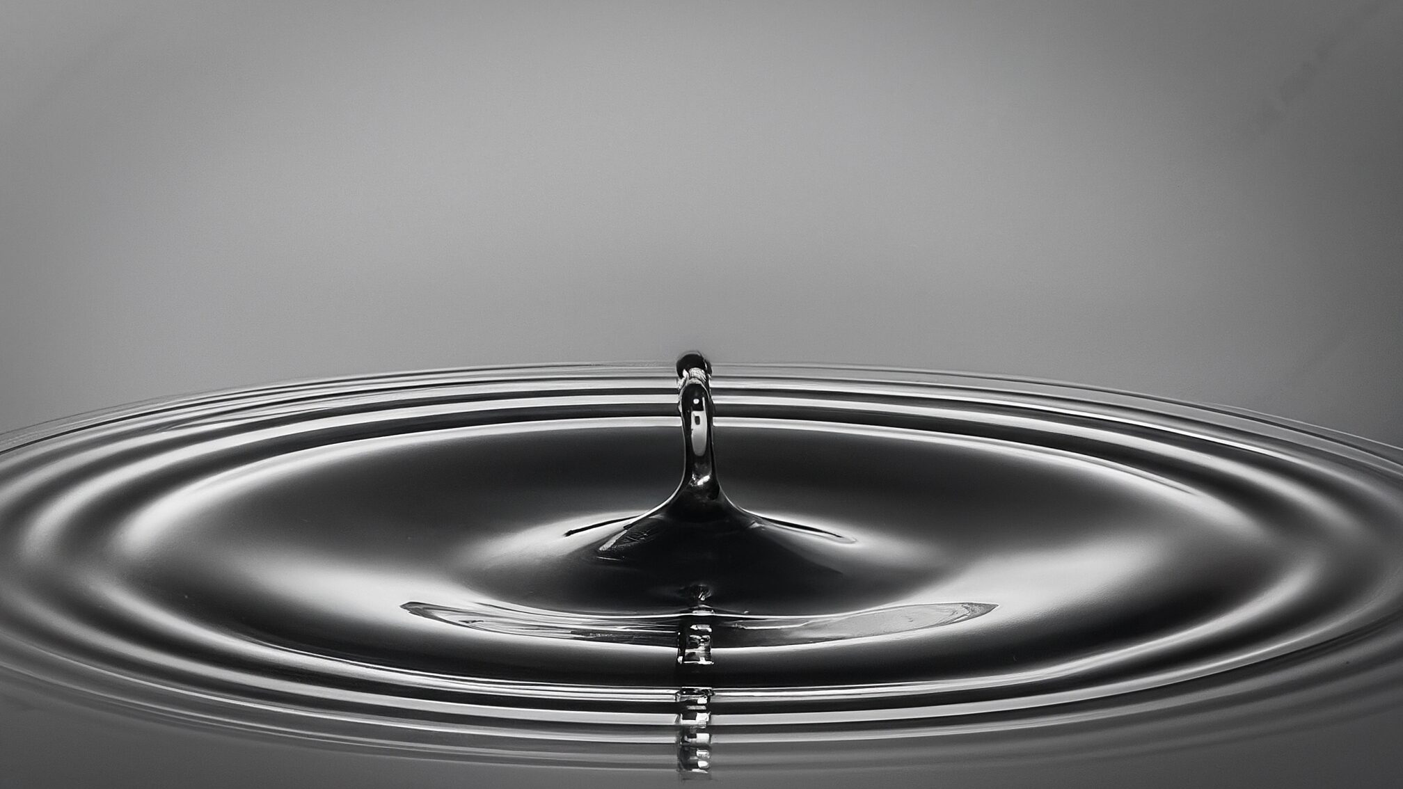 スタッフへの共有方法と浸透させる仕組み作り