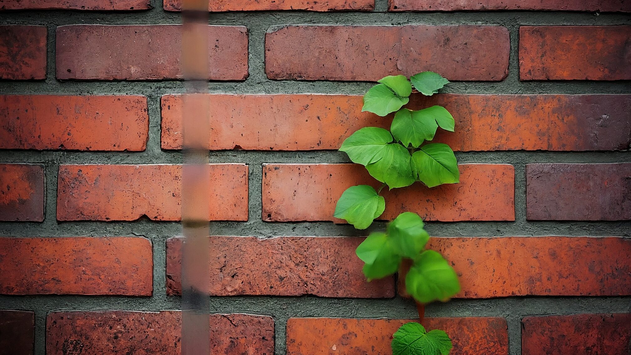 従来の離職防止策の限界と見直すべき本質