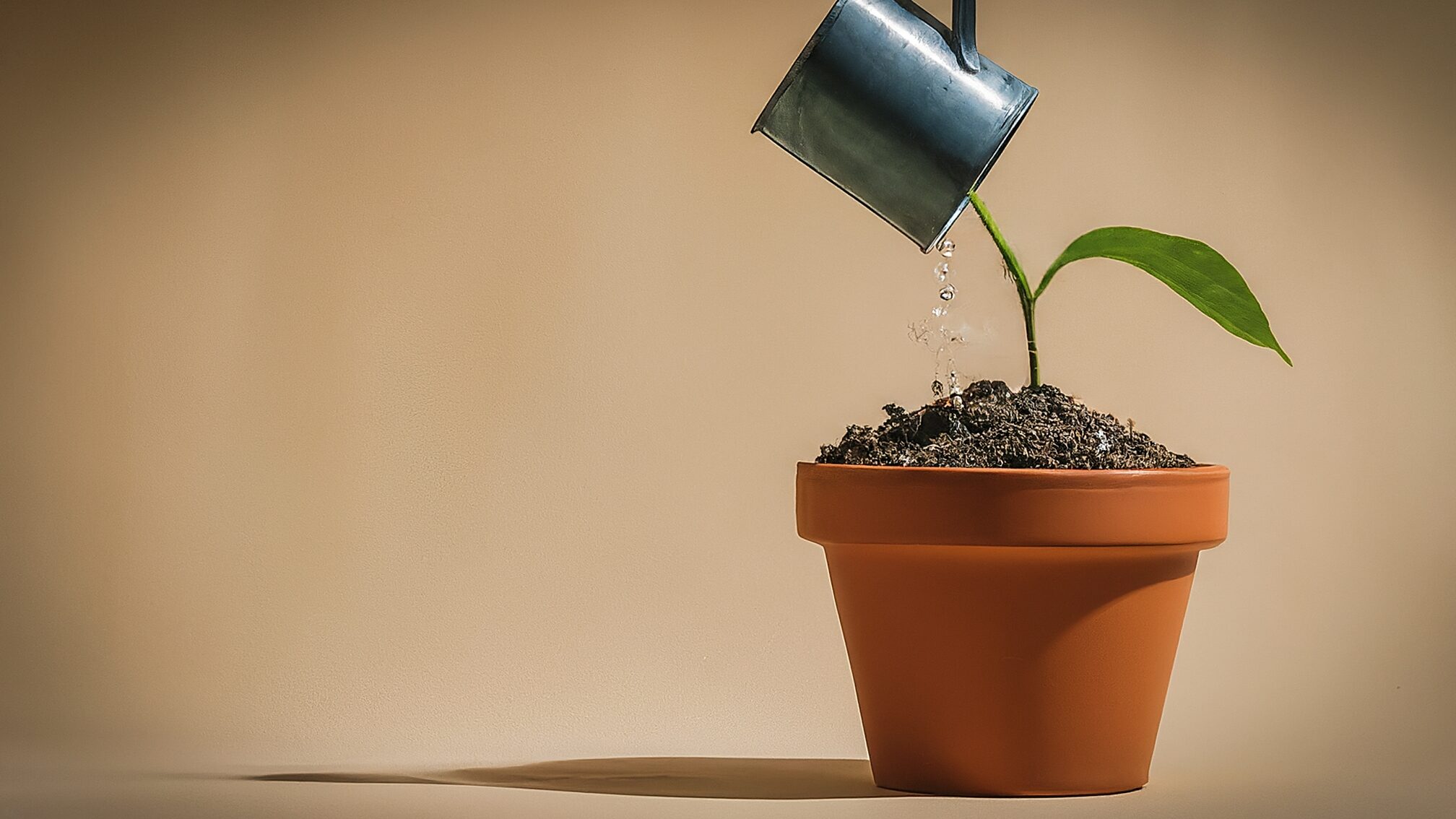 活用できる助成金と人材定着・採用力強化への効果