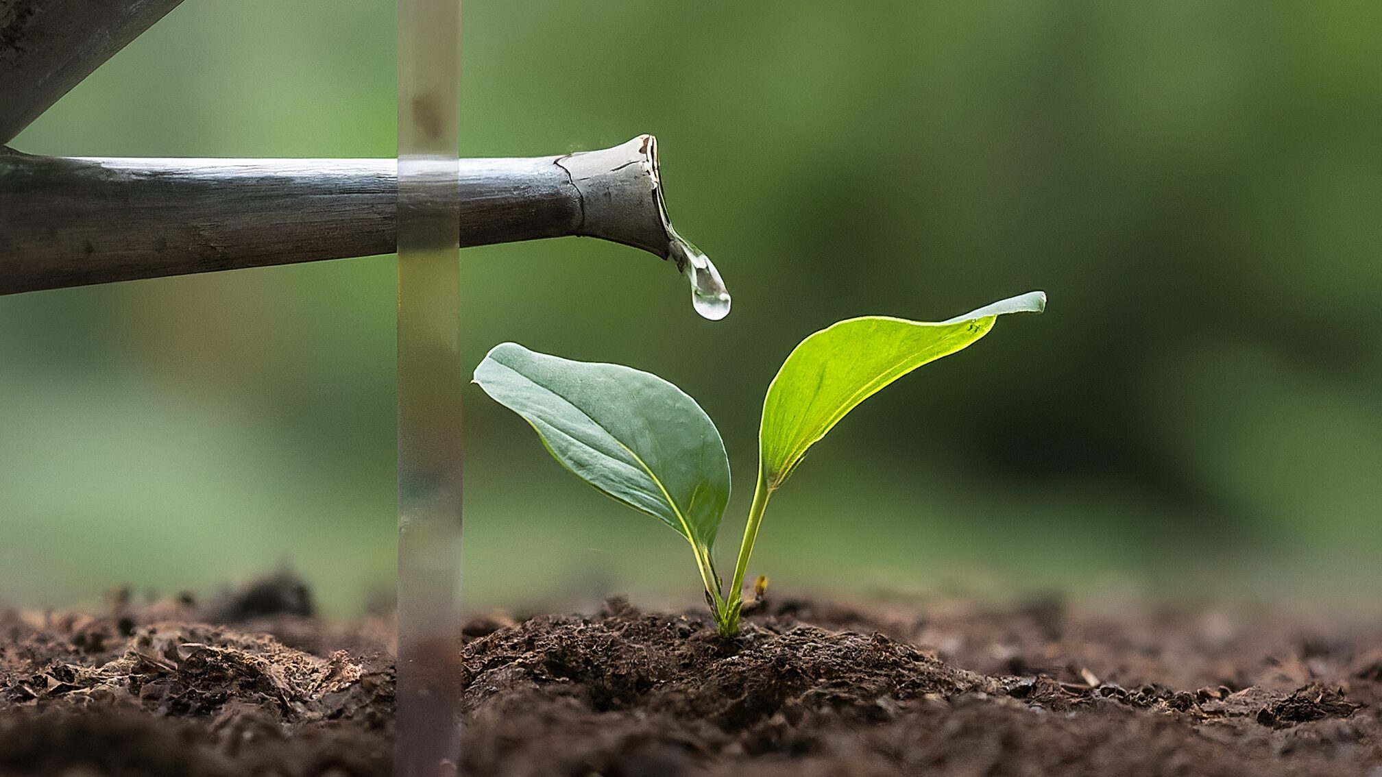 アシスタントの早期離職を防ぐ方法と育成