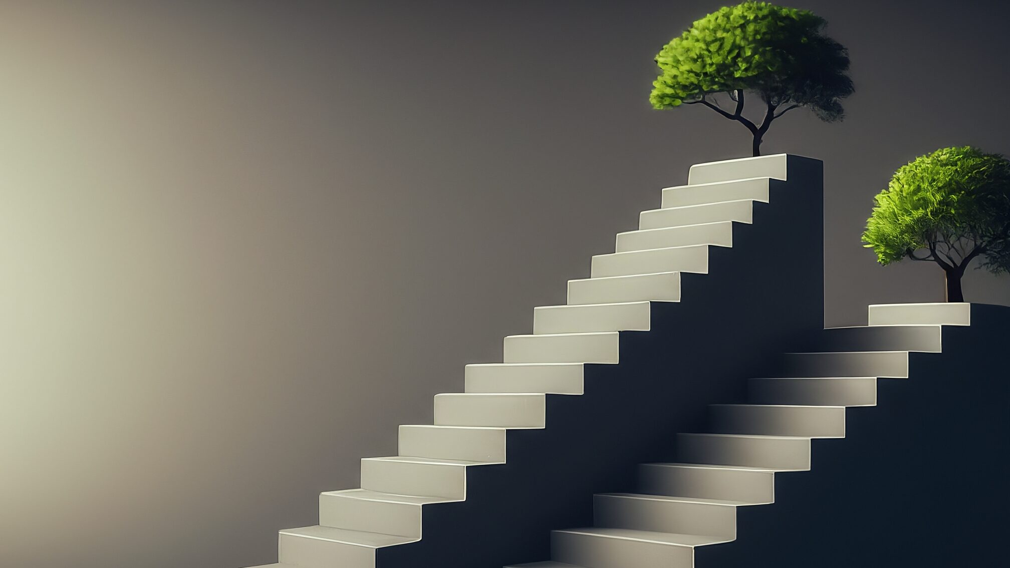 福利厚生とキャリアパスの明確な示し方