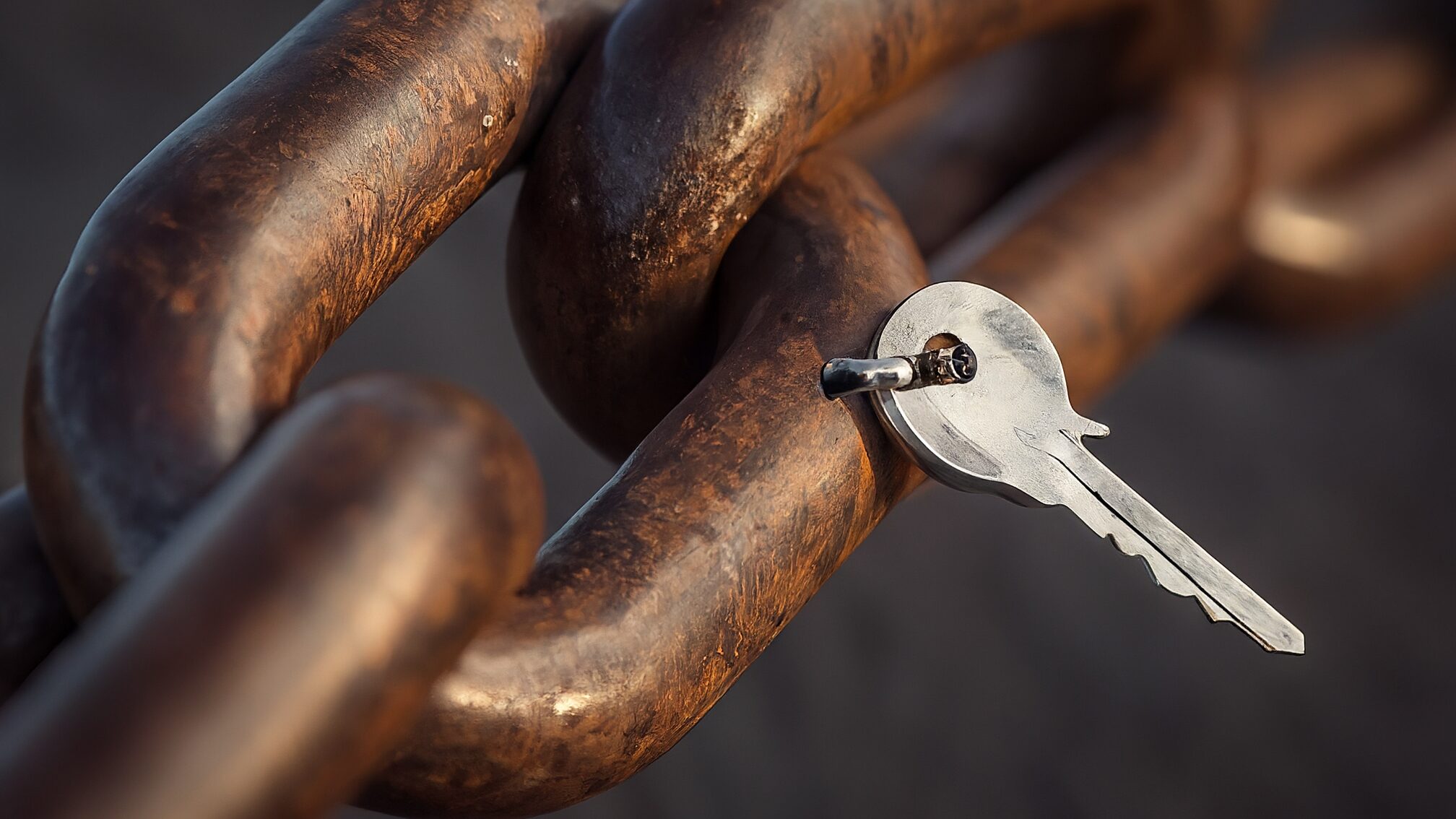 サロンボード以外で自社予約率を高め依存から脱却