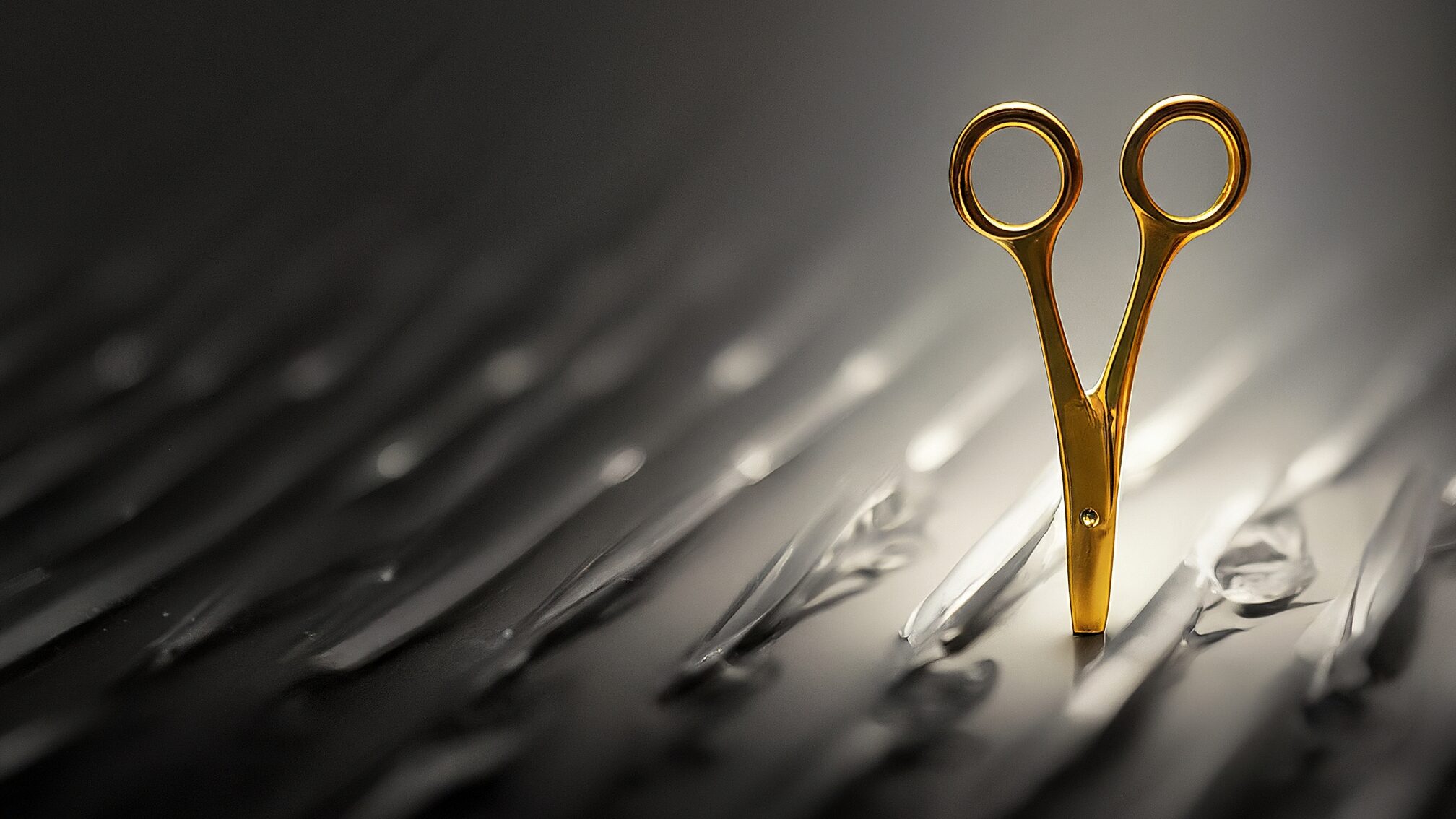 「あなたじゃなきゃダメ」と言われるブランディング術