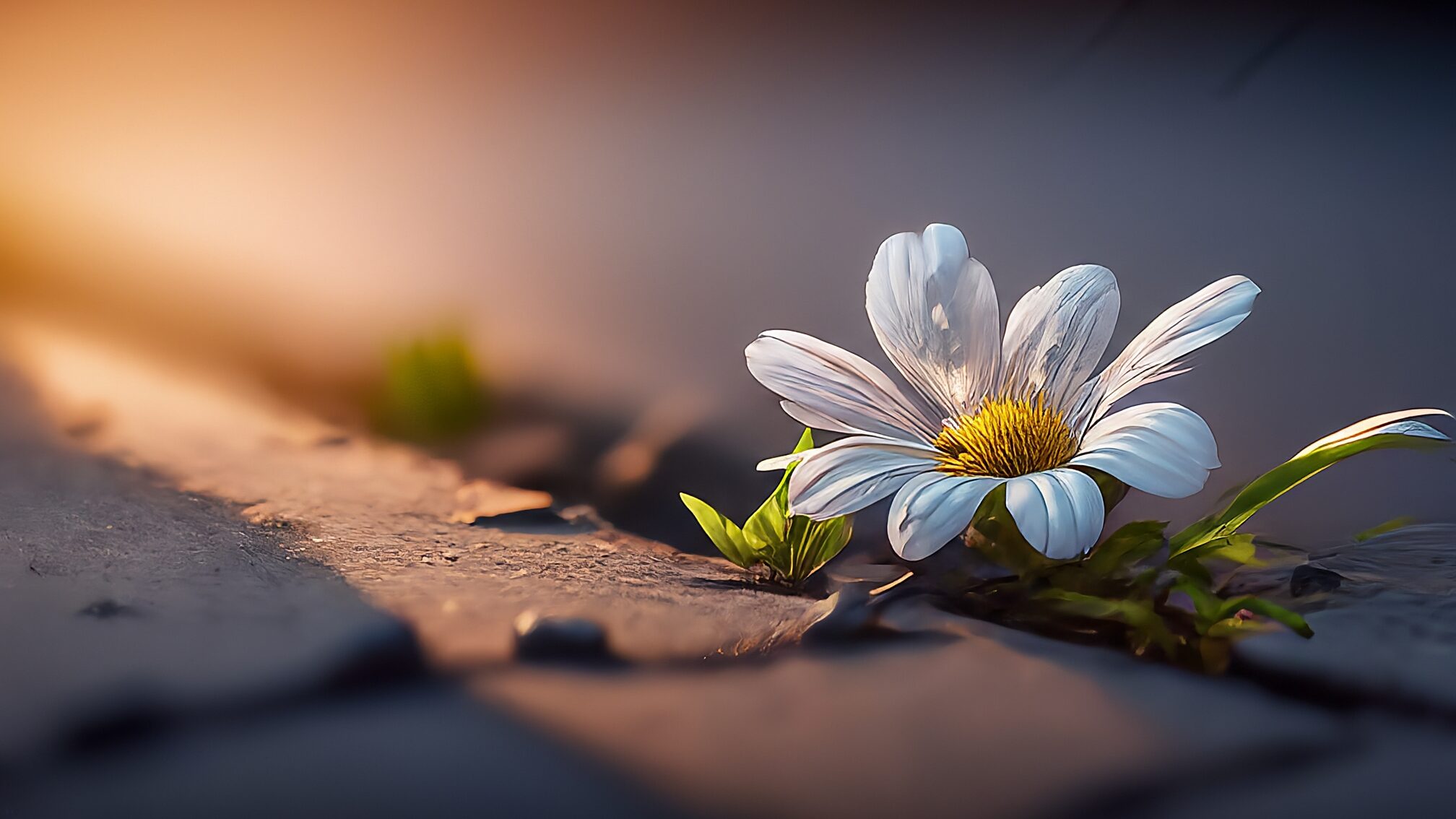 小規模サロンの戦い方と成功サロンの事例