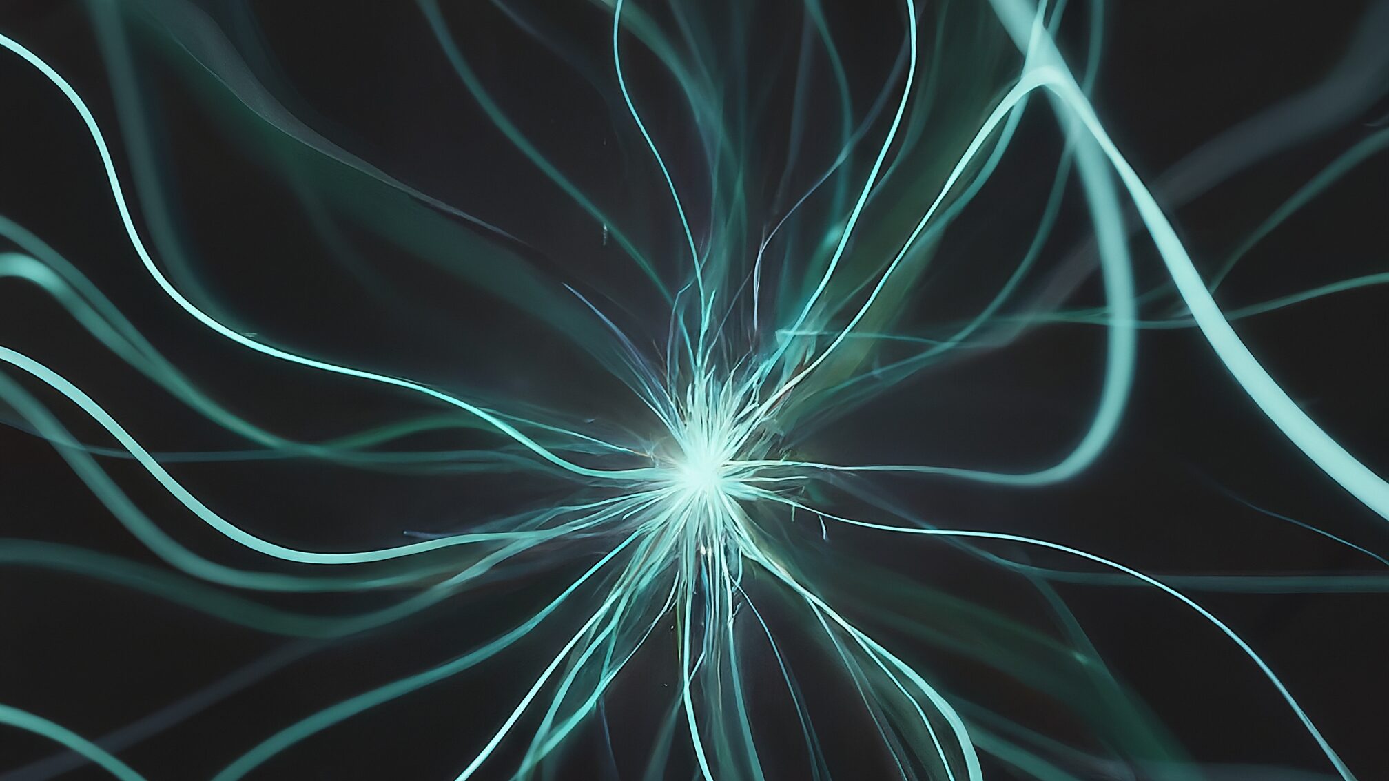 多店舗展開のメリット・デメリットと集客戦略の変化