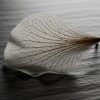 【項目1】画像 - 髪のタンパク変性とは？原因と見分け方、予防策を解説